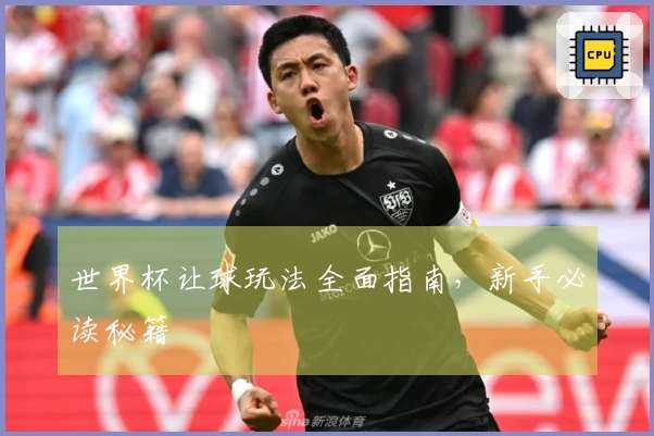 世界杯让球玩法全面指南，新手必读秘籍